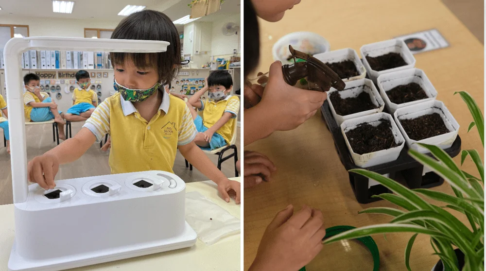 Our preschoolers from LSH At-Republic-Polytechnic learning about hydroponics
